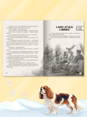 Дело о похищенной собаке - Фото 6