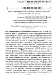 Биомеханика бега - Фото 8