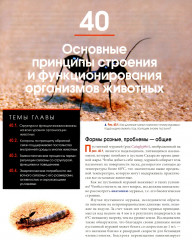 Биология. Campbell. Том 3. Животные формы жизни и их функционирование. Экология - Фото 9