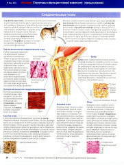 Биология. Campbell. Том 3. Животные формы жизни и их функционирование. Экология - Фото 13