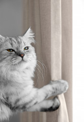 Комплект штор - Фото 4