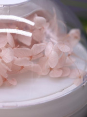 Ночник-увлажнитель воздуха «Flower» - Фото 2