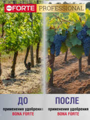 Удобрение «Для винограда с аминокислотами» - Фото 4