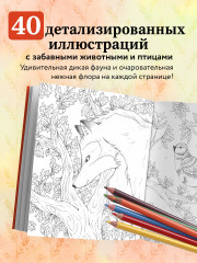 В объятиях природы. Раскрашиваем обаятельные иллюстрации животных и птиц - Фото 4