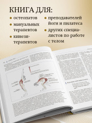 Функциональная анатомия движения. Руководство по анализу биомеханики и работе с миофасциальными меридианами - Фото 4