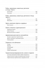 Тайные учения: От древних мистерий до церемониальной магии - Фото 6
