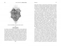 Тайные учения: От древних мистерий до церемониальной магии - Фото 11