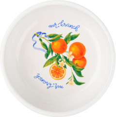 Миска для собак и кошек «Апельсины» - Фото 2