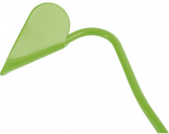 Бороздовичок большой с черенком - Фото 1