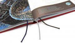 Ларусс. Шоколад - Фото 2