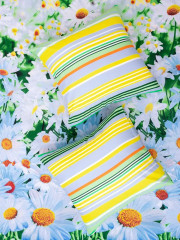 Комплект постельного белья «Ромашковый вальс» - Фото 1