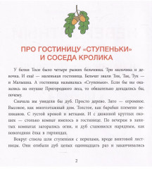 Невероятный Бултых и маленькая гостиница - Фото 2