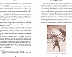 Мифы Тропической и Южной Африки. От «Съедобного Неба» до ритуальных масок и птицы-молнии - Фото 8