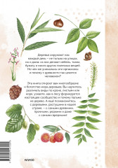 Деревья. Атлас-определитель. Как устроена экосистема леса и почему пальма не дерево - Фото 1