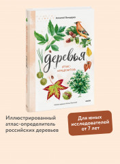 Деревья. Атлас-определитель. Как устроена экосистема леса и почему пальма не дерево - Фото 3