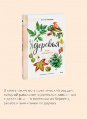 Деревья. Атлас-определитель. Как устроена экосистема леса и почему пальма не дерево - Фото 4