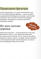 Деревья. Атлас-определитель. Как устроена экосистема леса и почему пальма не дерево - Фото 5