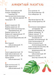 Деревья. Атлас-определитель. Как устроена экосистема леса и почему пальма не дерево - Фото 6