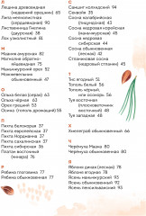 Деревья. Атлас-определитель. Как устроена экосистема леса и почему пальма не дерево - Фото 7