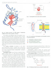 Biochemistry with Exercises and Tasks - Фото 8