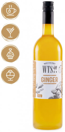 Сироп «Ginger. Имбирь»
