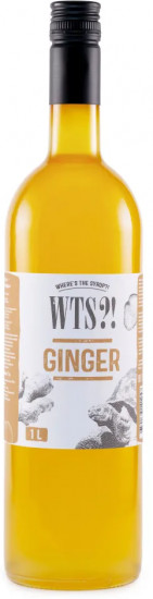 Сироп «Ginger. Имбирь»