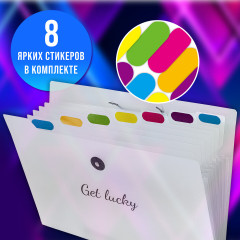 Папка-органайзер - Фото 11