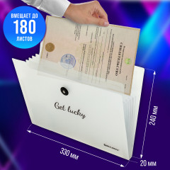 Папка-органайзер - Фото 12