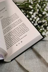 Поцелуй обмана - Фото 8