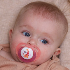 Набор пустышек ортодонтических с колпачком - Фото 8