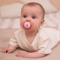 Набор пустышек ортодонтических с колпачком - Фото 14