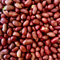 Арахис - Фото 1