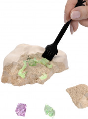 Набор для раскопок «Раскопки. Ищи динозавров и сокровища» - Фото 5