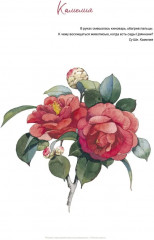 Рисуем персонажей маньхуа акварелью - Фото 8