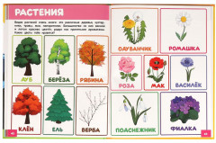 Самая первая энциклопедия для малышей - Фото 5