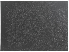 Картина по номерам «Лев» - Фото 3