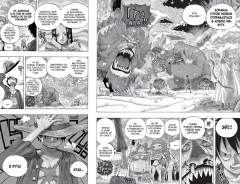 One Piece. Большой куш. Книга 21. На заре приключений. Новый Свет - Фото 5