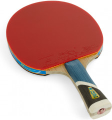 Набор для настольного тенниса профессиональный «5A+C» - Фото 5