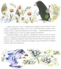 Наш знакомый Бумчик - Фото 8