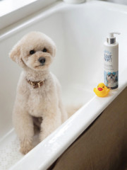 Шампунь увлажняющий для длинношерстных собак - Фото 2