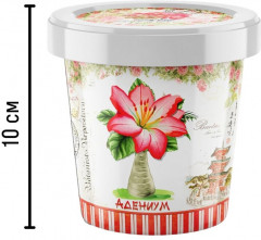 Набор для выращивания «Адениум» - Фото 3