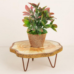 Подставка универсальная «Natural» - Фото 1