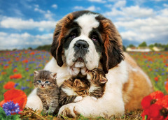 Пазл «Дружба» - Фото 1