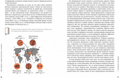 Homo Sapiens. Иллюстрированная история интеллекта - Фото 4