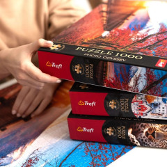 Пазл «Маяк List-Ost Германия» - Фото 3