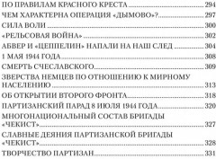 Комиссар и комбриг. Армейско-партизанские мемуары - Фото 14