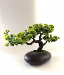 Бансай - Фото 1