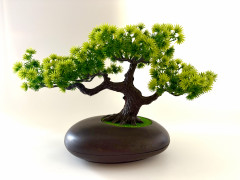 Бансай - Фото 2