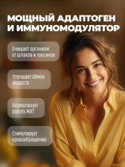 Мумие алтайское очищенное для иммунитета - Фото 1