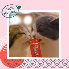 Лакомство для котят «Пюре из тунца Магуро» - Фото 3